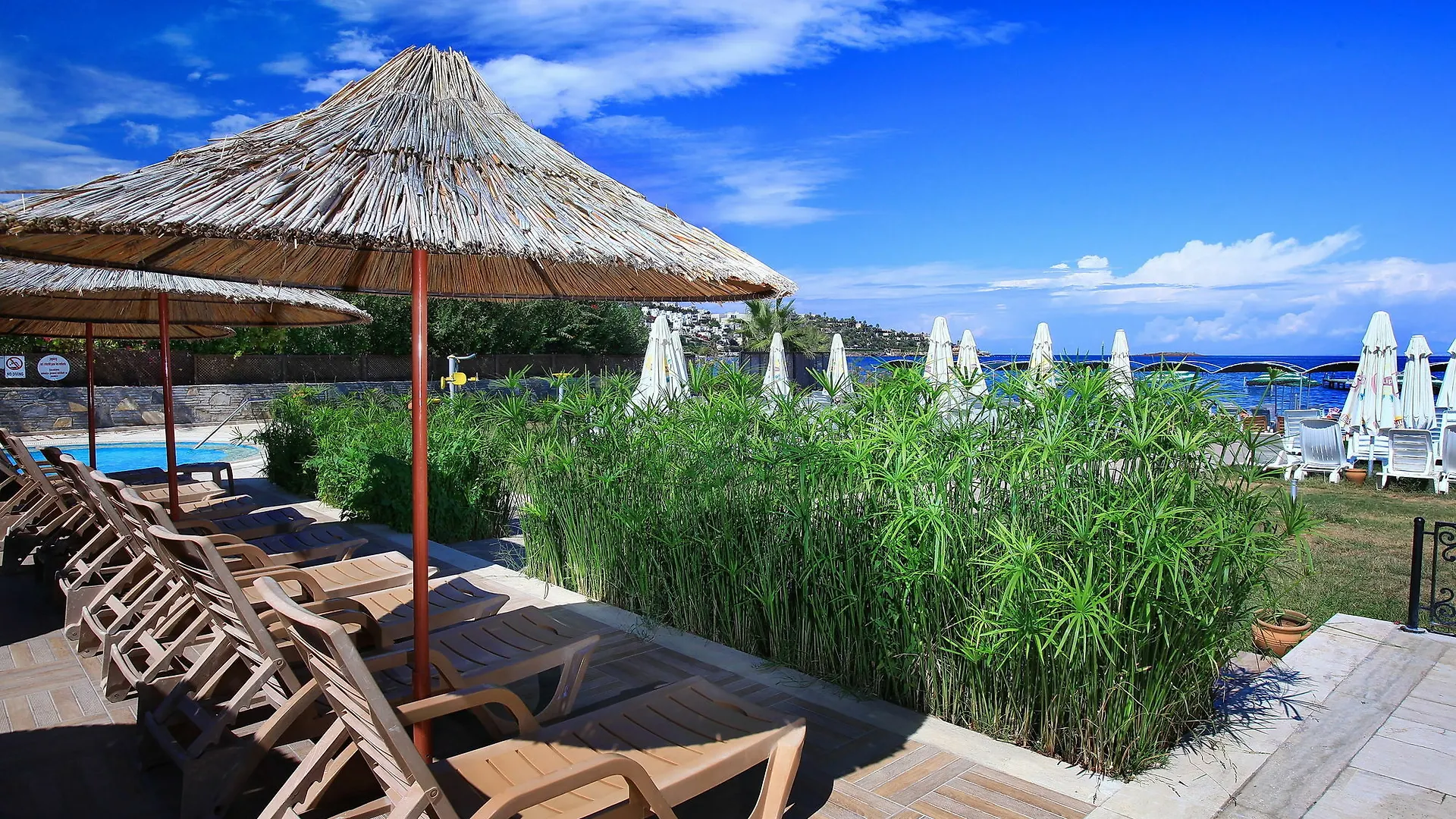 Cactus Fleur Beach Yalıkavak Turecko