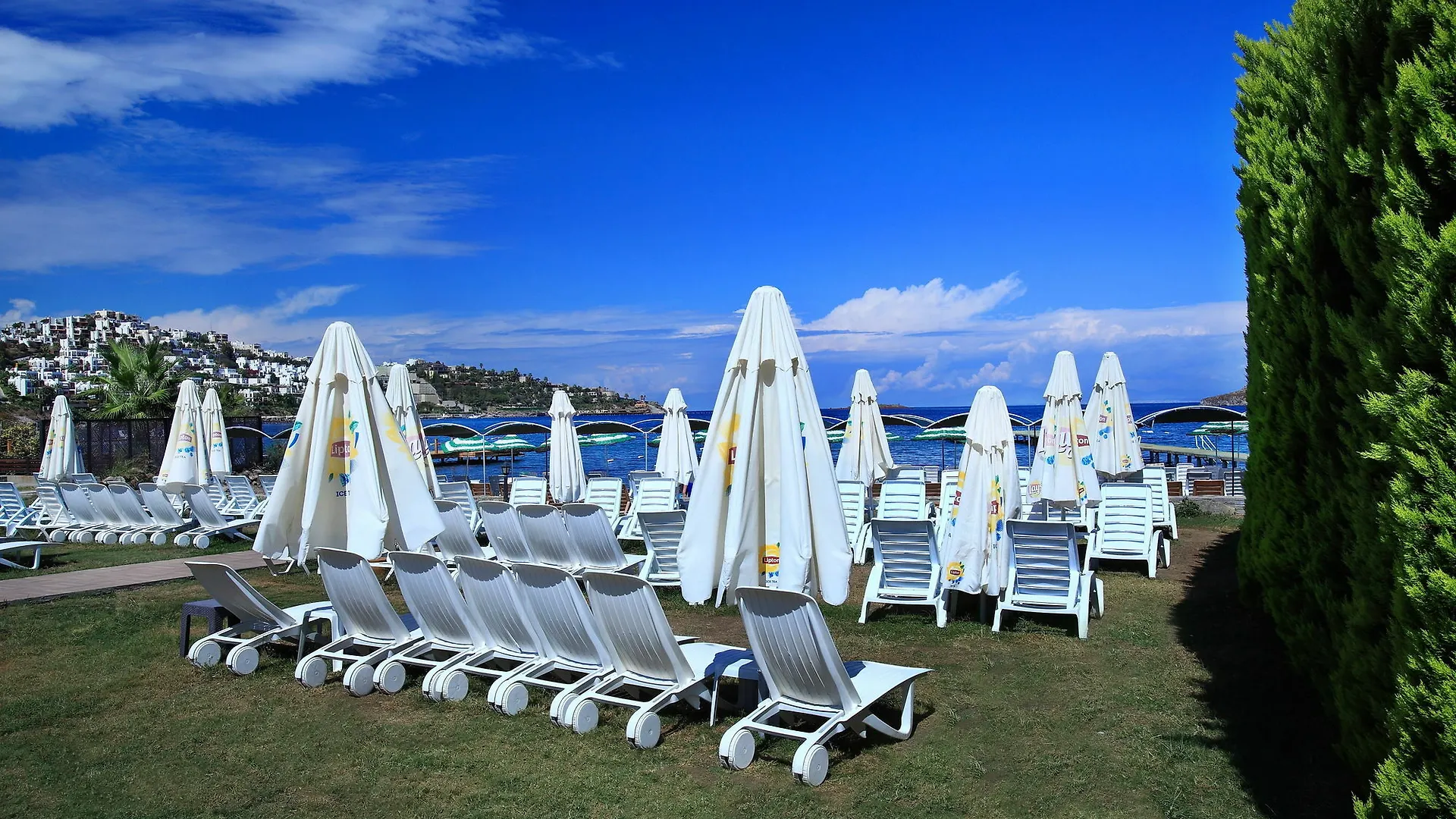 Resort Cactus Fleur Beach Yalikavak